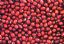 small red beans(adzuki)